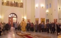В день памяти святых чудотворцев и бессеребреников Космы и Дамиана Асийских митрополит Владимир возглавил Божественную литургию